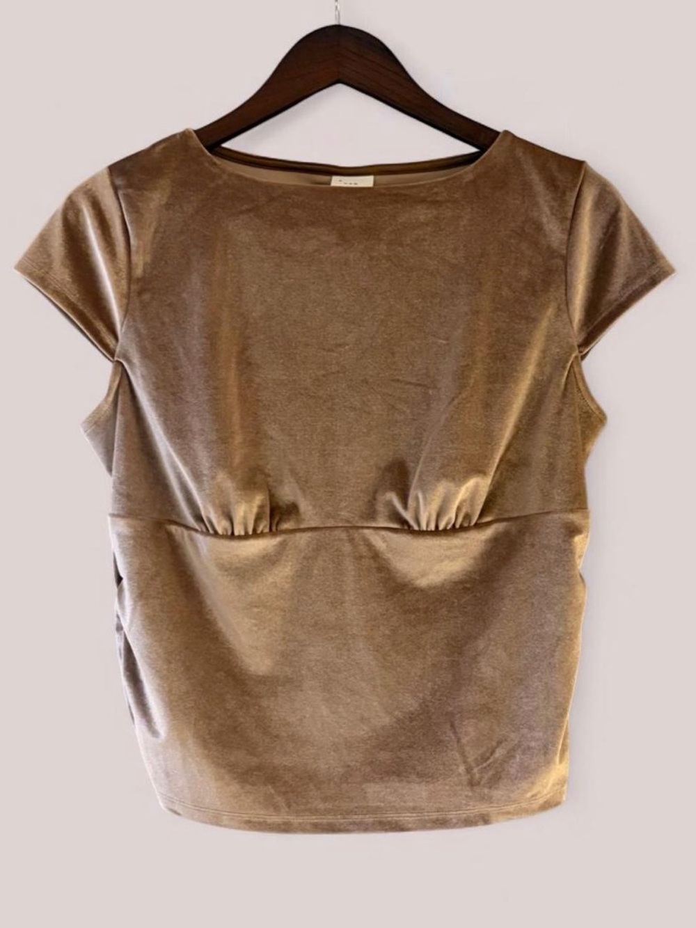 a new day Taupe Velvet Cap Sleeve Top